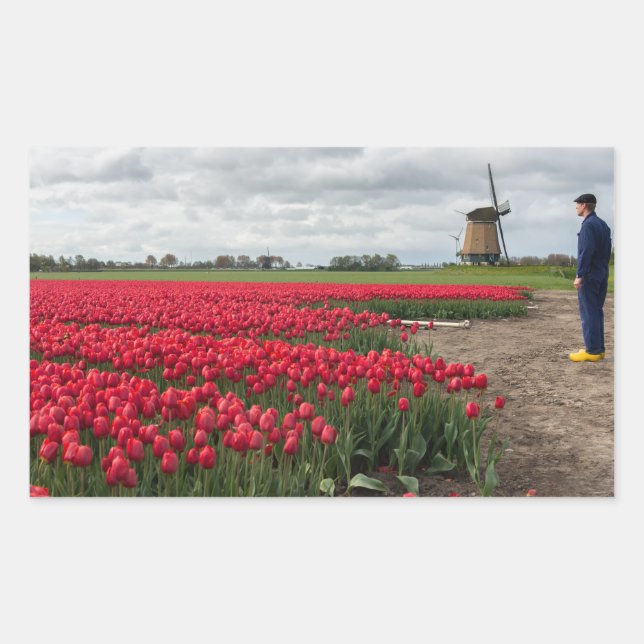 Farmer inspecting his tulips and windmill rectangular sticker (Front)
