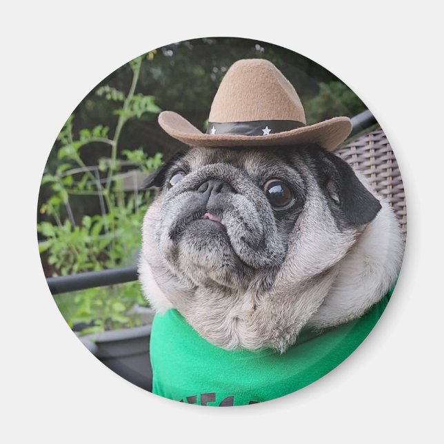 Farmer Pickles Magnet (Front)