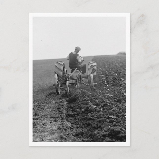 Farmer Ploughing With A Tractor Postcard (Front)