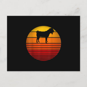 Farmer Vintage Retro Sunset Funny Farm Animal Goat Postcard