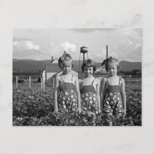 Farmer's Daughters, 1939 Postcard