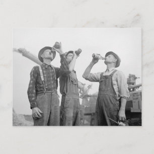 Farmers Drinking Beer, 1941 Postcard