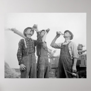 Farmers Drinking Beer, 1941. Vintage Photo Poster