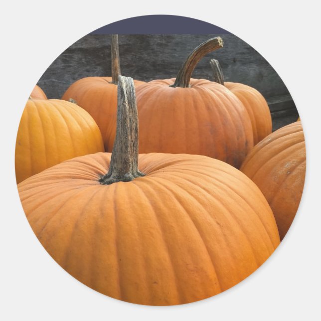 Farmer's Market, Autumn Harvest Pumpkins Classic Round Sticker (Front)
