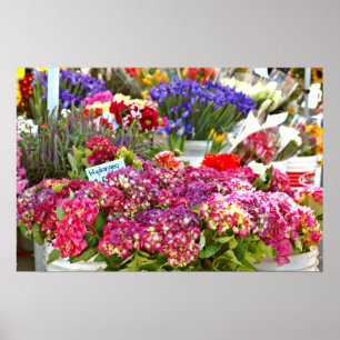 Farmer's Market Flower Stall Poster