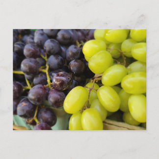Farmer's Market Grapes Postcard
