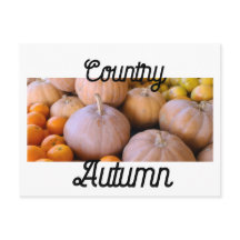 Farmer's Market Pumpkins Country Autumn
