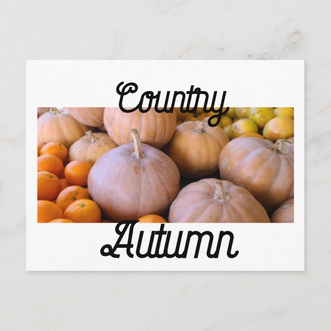 Farmer's Market Pumpkins Country Autumn Postcard (Front)