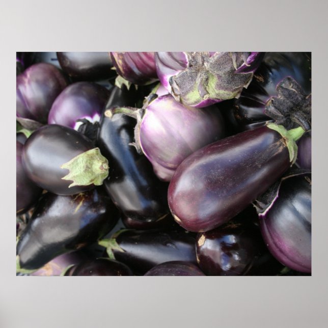 Farmers Market Selection of Purple Eggplants Poster (Front)