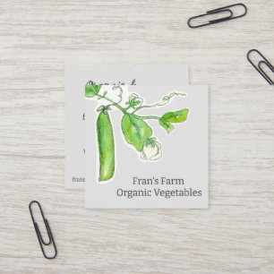 Farmers Market Vegetables Green Peas  Square Business Card