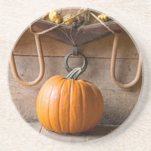Farmers Museum. Pumpkin in barn with bale of hay Coaster