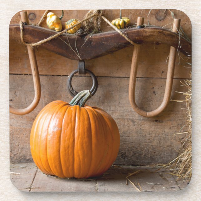 Farmers Museum. Pumpkin in barn with bale of hay Coaster (Front)