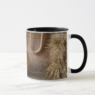 Farmers Museum. Pumpkin in barn with bale of hay Mug