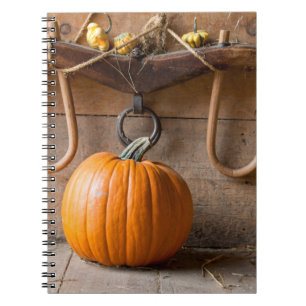 Farmers Museum. Pumpkin in barn with bale of hay Notebook