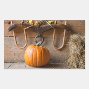 Farmers Museum. Pumpkin in barn with bale of hay Rectangular Sticker