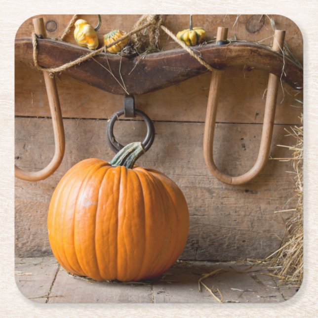 Farmers Museum. Pumpkin in barn with bale of hay Square Paper Coaster (Front)