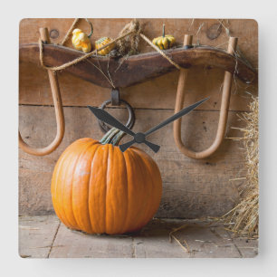 Farmers Museum. Pumpkin in barn with bale of hay Square Wall Clock