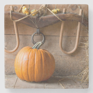 Farmers Museum. Pumpkin in barn with bale of hay Stone Coaster