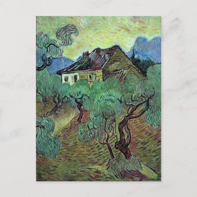 Farmhouse Among Olive Trees Van Gogh Fine Art Postcard (Front)