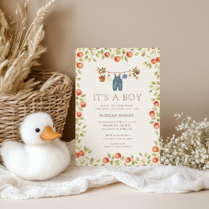 Farmhouse Baby Clothesline Baby Shower Invitation