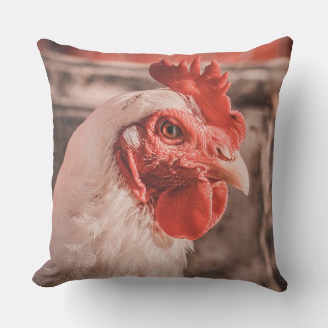Farmhouse Chicken Pillow (Front)