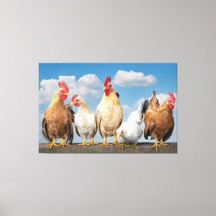 Farmhouse Chickens on a Cloudy Summer Day Canvas P