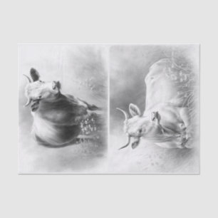 Farmhouse Cows Tissue Paper