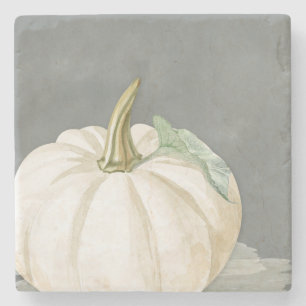 Farmhouse fall white pumpkin stone coaster