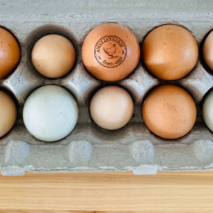 Farmhouse Hen Personalised Logo Organic Eggs Rubber Stamp