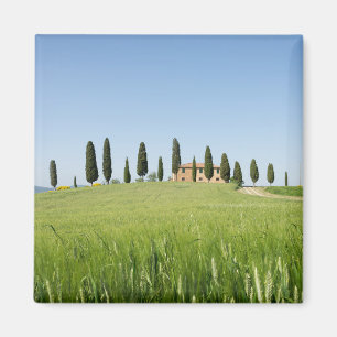 Farmhouse in Tuscany with cypresses magnet