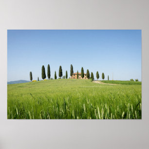 Farmhouse in Tuscany with cypresses poster