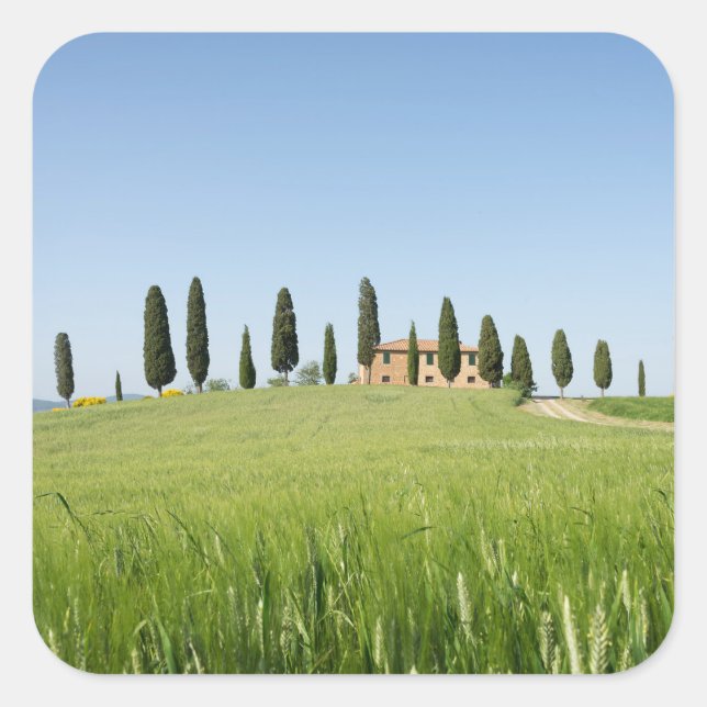 Farmhouse in Tuscany with cypresses sticker (Front)