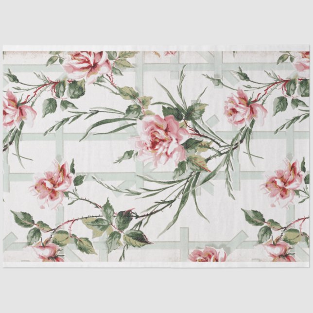 Farmhouse Pink Roses on Garden Trellis Tissue Paper (Front)