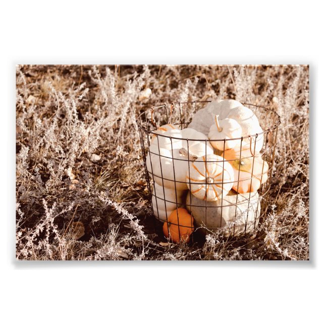 Farmhouse Pumpkin Harvest Basket Photo Print (Front)