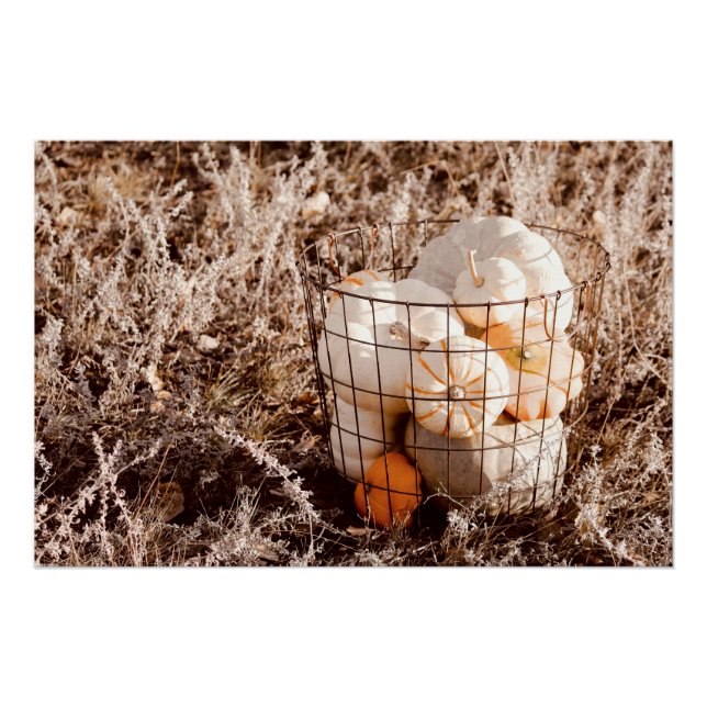 Farmhouse Pumpkin Harvest Basket Poster (Front)