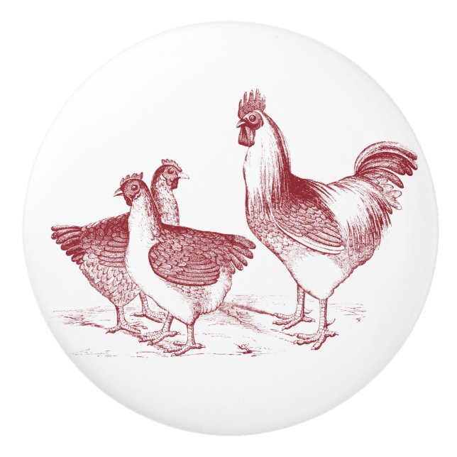 Farmhouse rustic chicken animals kitchen ceramic knob (Front)