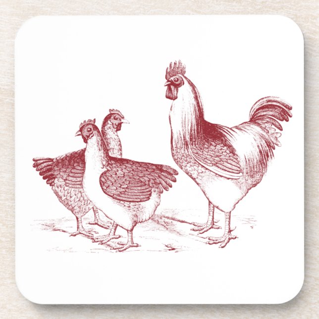 Farmhouse rustic chicken animals kitchen coaster (Front)