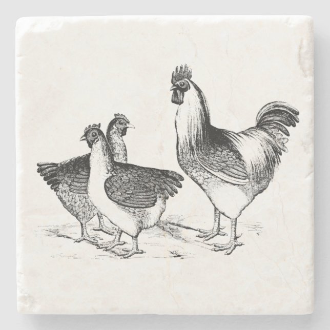 Farmhouse rustic chicken animals kitchen stone coaster (Front)