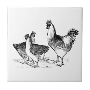 Farmhouse rustic chicken animals kitchen tile