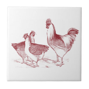 Farmhouse rustic chicken animals kitchen tile