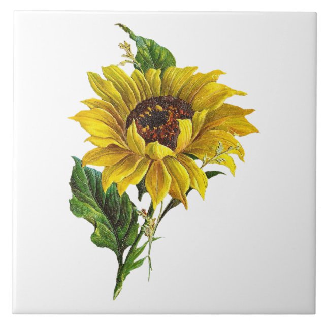 Farmhouse Sunflower Vintage Botanical Tile (Front)
