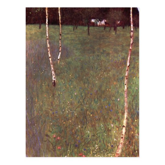Farmhouses with Birch Trees Postcard