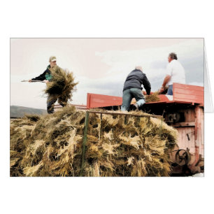 FARMING CARD
