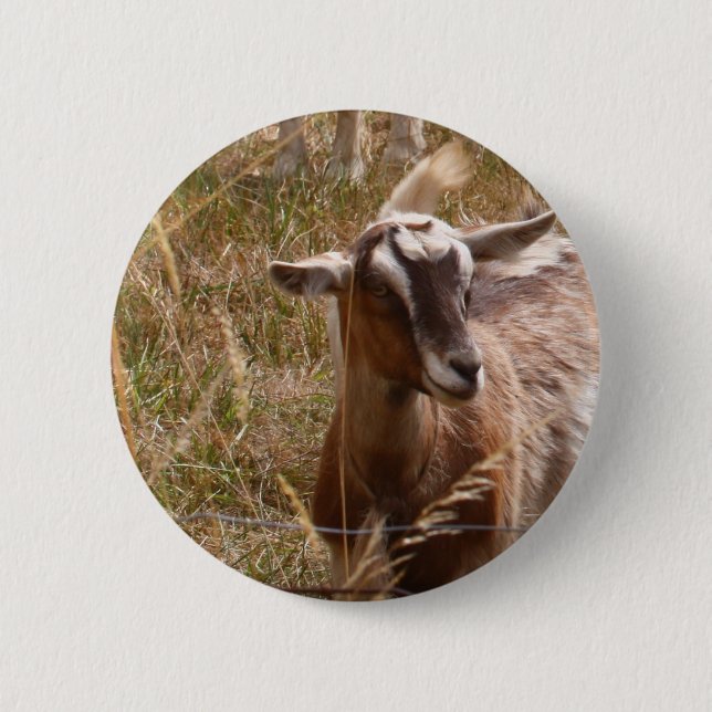Farming goats 6 cm round badge (Front)