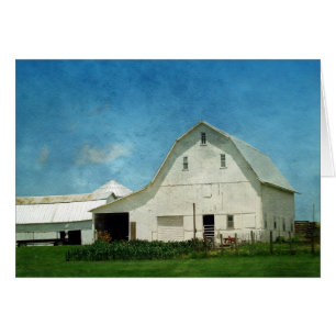 Farming in Iowa All Occasions