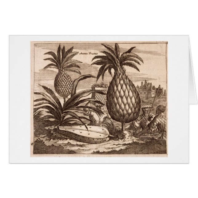 Farming Large Pineapples, illustration from a desc (Front Horizontal)