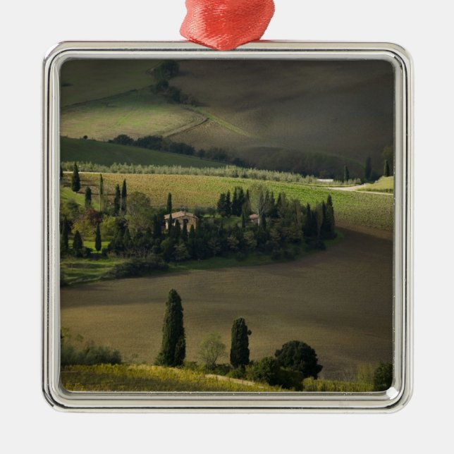 Farmland around Montepulciano, Tuscany, Italy Metal Tree Decoration (Front)