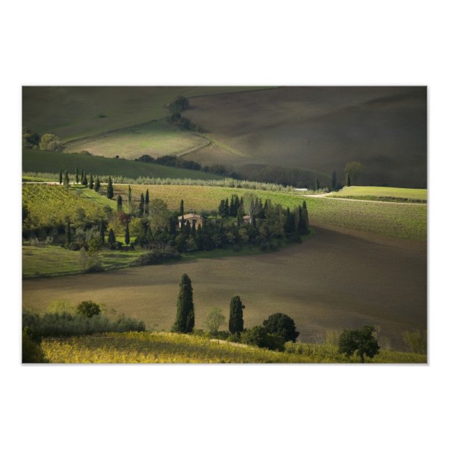 Farmland around Montepulciano, Tuscany, Italy Photo Print (Front)