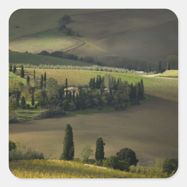 Farmland around Montepulciano, Tuscany, Italy Square Sticker (Front)