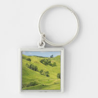 Farmland near Gisborne, New Zealand
